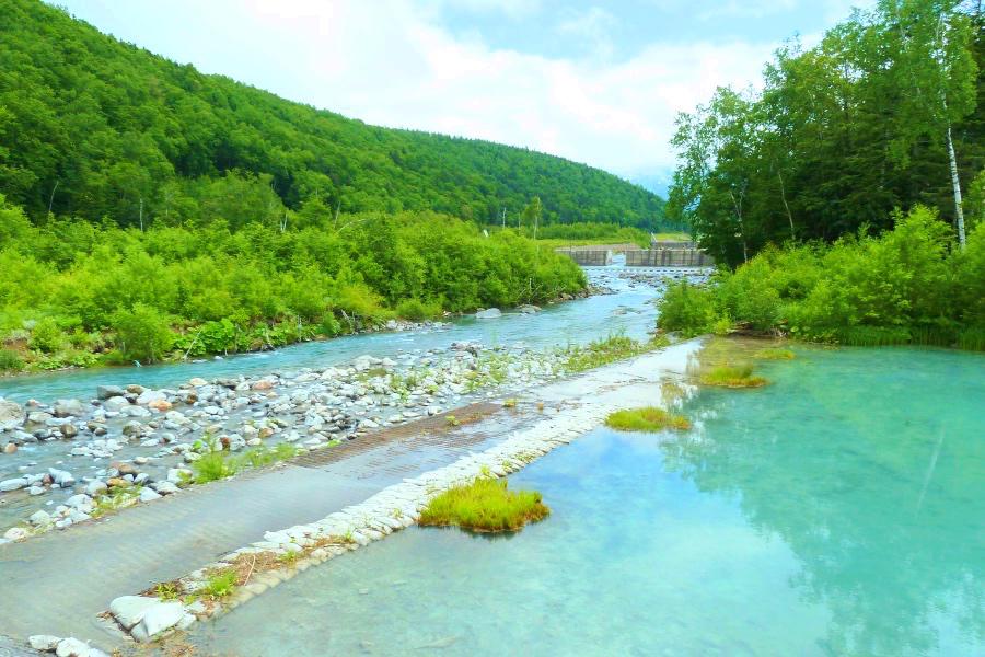 美瑛の青い池の写真@北海道観光