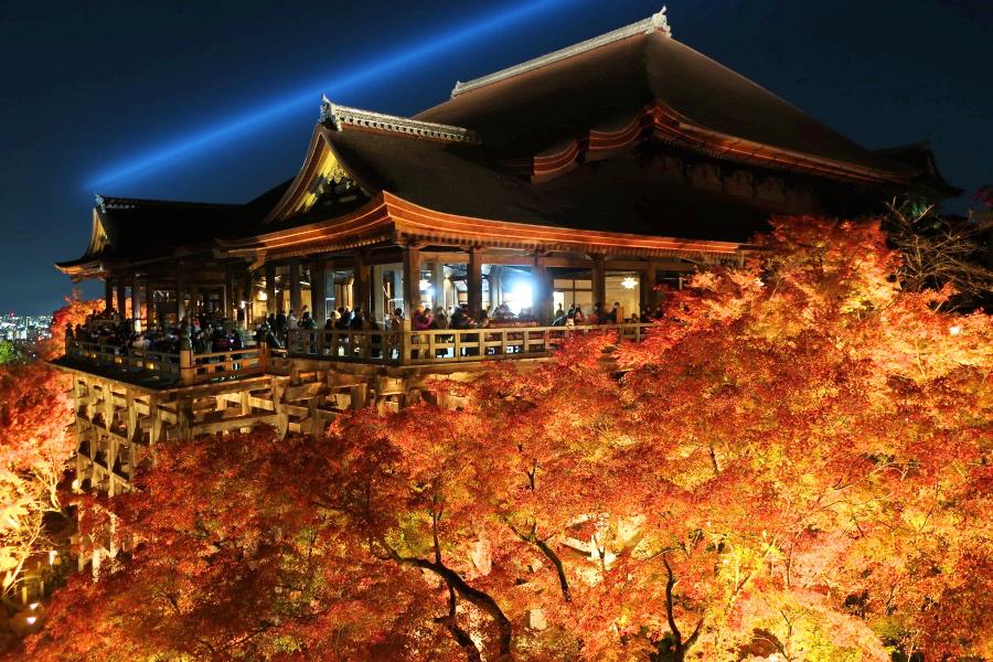 京都の世界遺産/観光地の写真