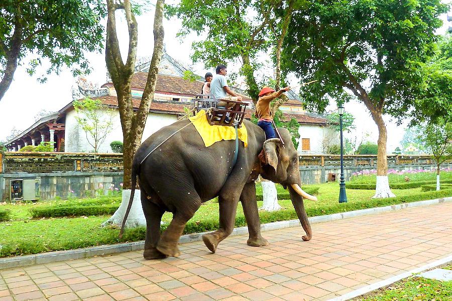フエの阮朝王宮内の象使い@ベトナム観光/写真