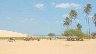ジェリコアコアラ/ブラジル旅行!白い砂丘と海の田舎町。カシューナッツの秘密