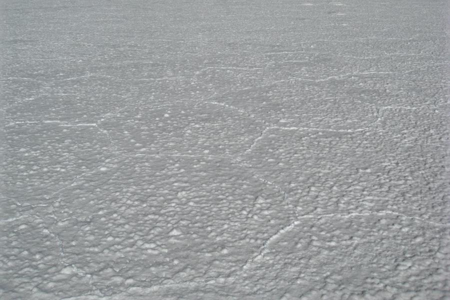観光ウユニ塩湖/塩原(Salar de Uyuni)(ランチ込み観光5時間)(標高3700m)の写真