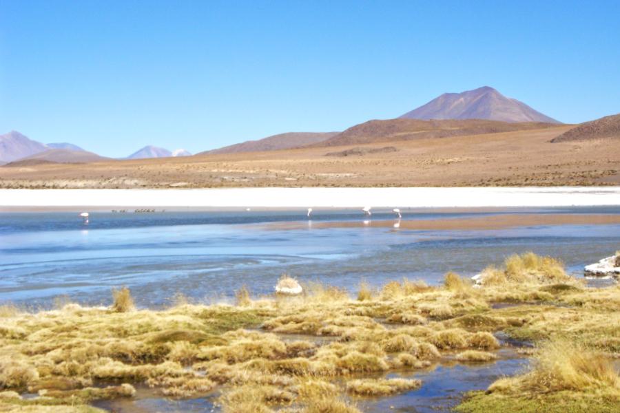 観光エディオンダ湖(Laguna Hedionda)(標高4125m)(観光50分後ランチ40分)の写真