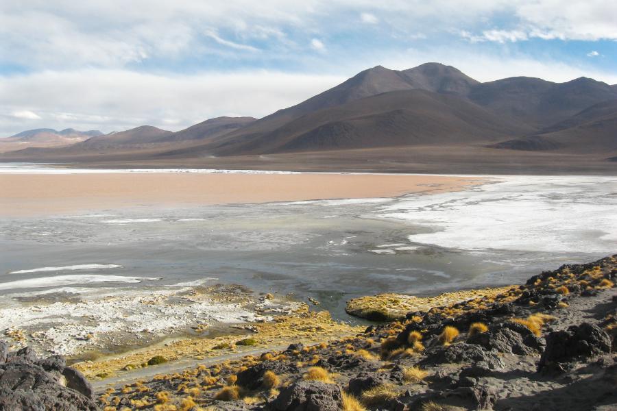 観光コロラダ湖(Laguna Colorada)(標高4278m)(観光30分)の写真