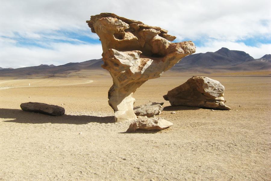 観光奇岩アルボル・デ・ピエドラ/石の木(Arbol de Piedra)(標高4500m)(観光15分)の写真