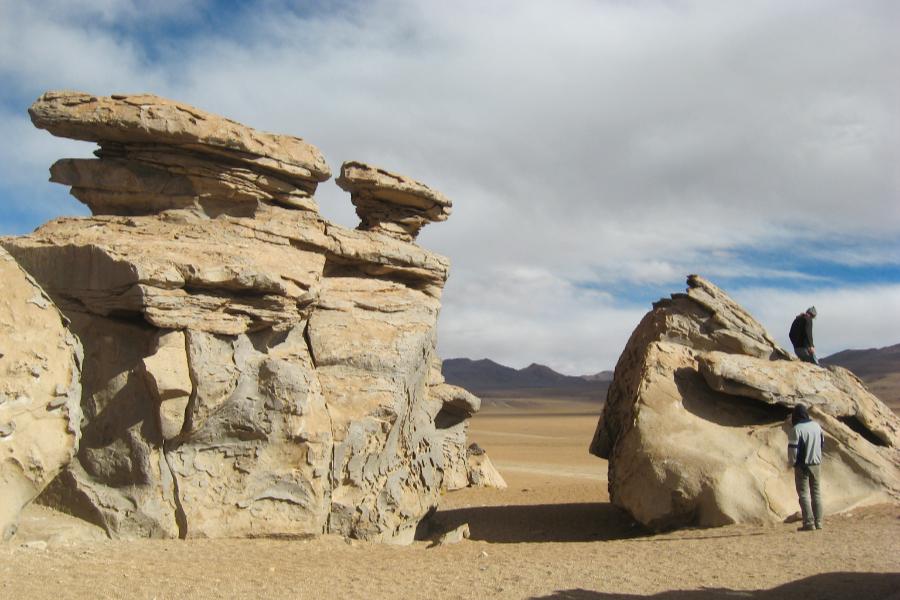観光奇岩アルボル・デ・ピエドラ/石の木(Arbol de Piedra)(標高4500m)(観光15分)の写真