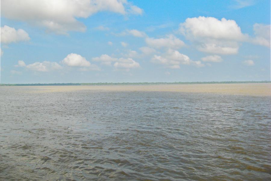 観光遺産候補ブラジル ベレン観光(アマゾン川と魚市場)の写真