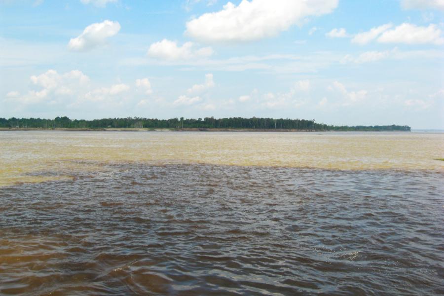 観光アマゾン川のソリモンエスの奇観/二河川合流点(Encontro das Aguas)の写真