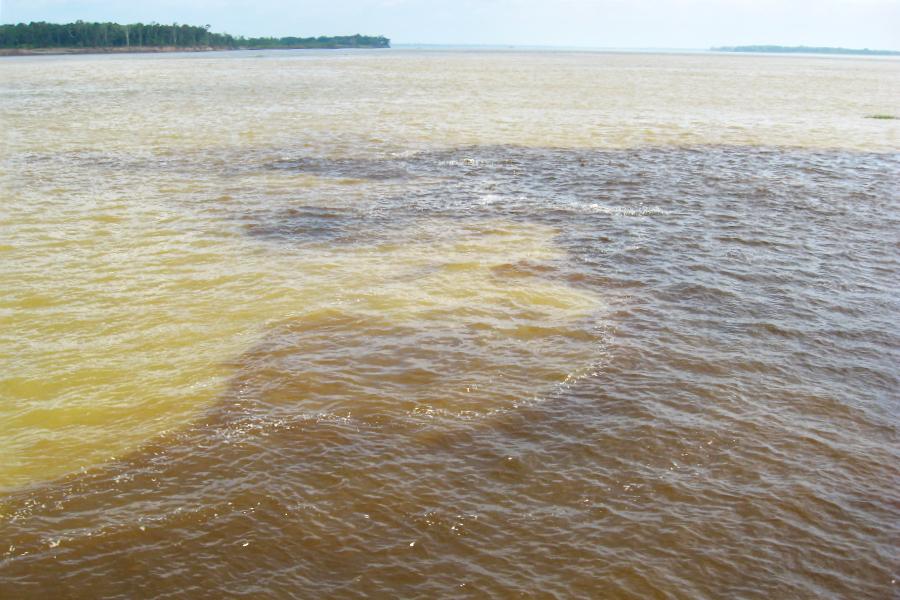 観光アマゾン川のソリモンエスの奇観/二河川合流点(Encontro das Aguas)の写真