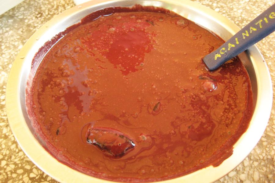 ベレンとマナウスのグルメ(シュラスコ食べ放題や魚)の写真