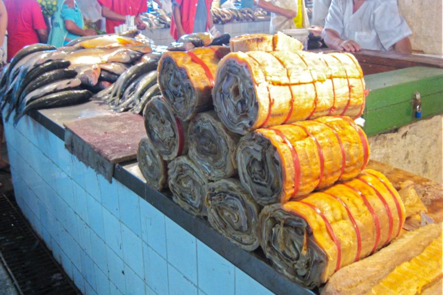 観光ブラジル マナウス観光(魚市場やカテドラル)の写真
