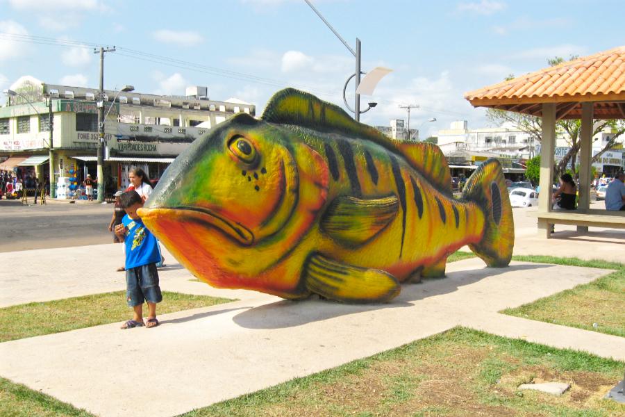 観光ブラジル サンタレン(Santarem)の写真