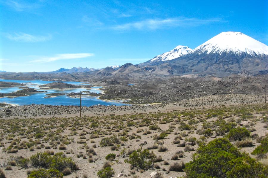 観光ラウカ国立公園のチュンガラ湖(Lago Chungara)(標高4,500m)(観光1時間)の写真