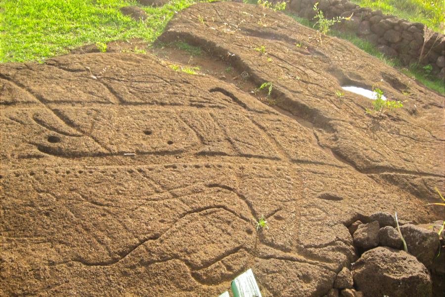 観光世界遺産パパ･ヴァカ岩絵(Papa Vaka)(観光10分)の写真21