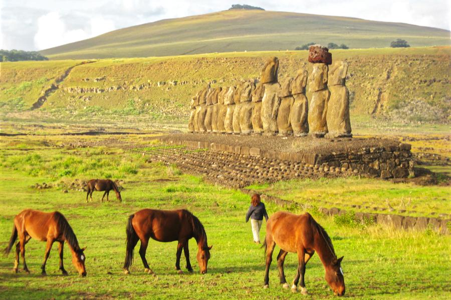 観光世界遺産アフ･トンガリキ(Ahu Tongariki)(サンセット込み観光1時間)の写真23