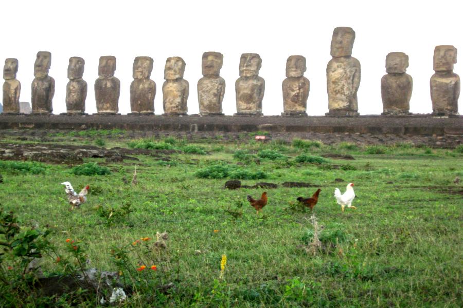 観光世界遺産アフ･トンガリキ(Ahu Tongariki)(サンセット込み観光1時間)の写真27