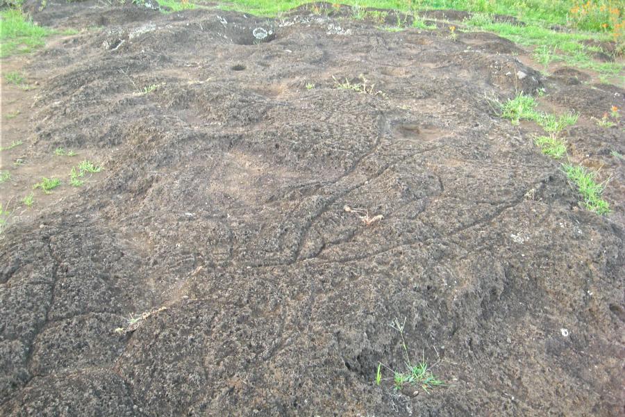 観光世界遺産パパ･タタク･ポキ岩絵(Papa Tataku Poki)(観光5分)の写真29