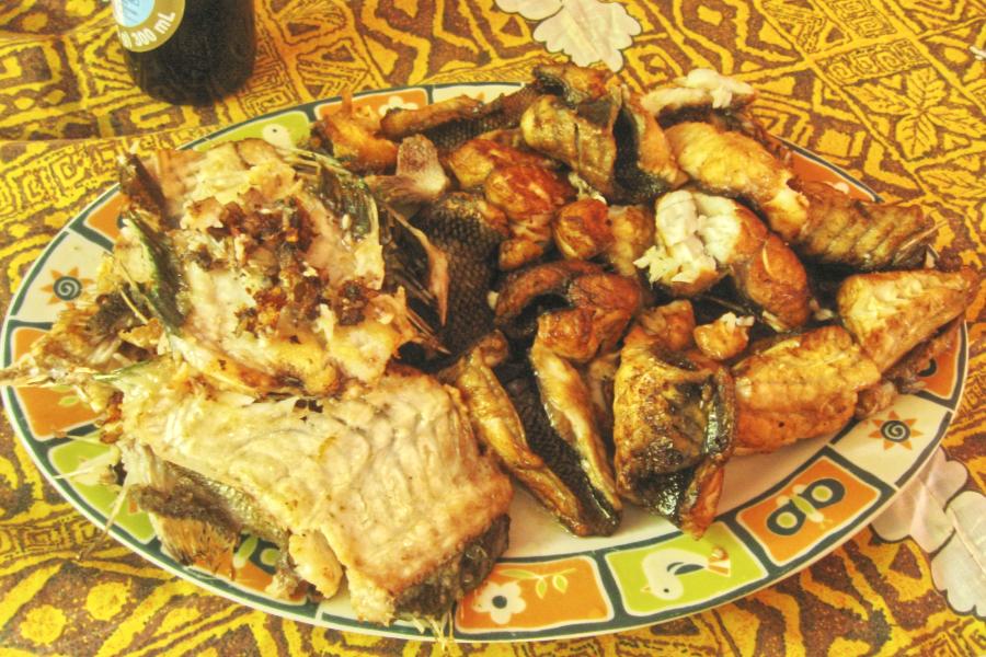 マグロや魚介を堪能の写真72