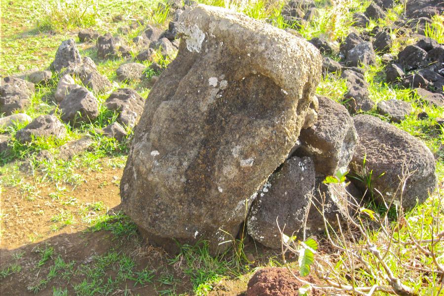 観光世界遺産アフ･テペウ(Ahu Tepeu)(観光15分)の写真78