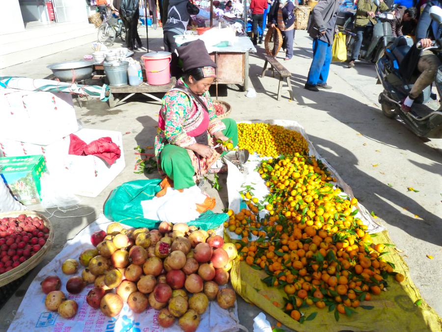 観光大里(ダーリー)(標高2000m)(観光6時間)の写真