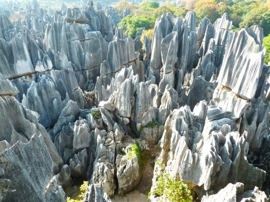 観光世界遺産石林風景名勝区(観光6時間)の写真