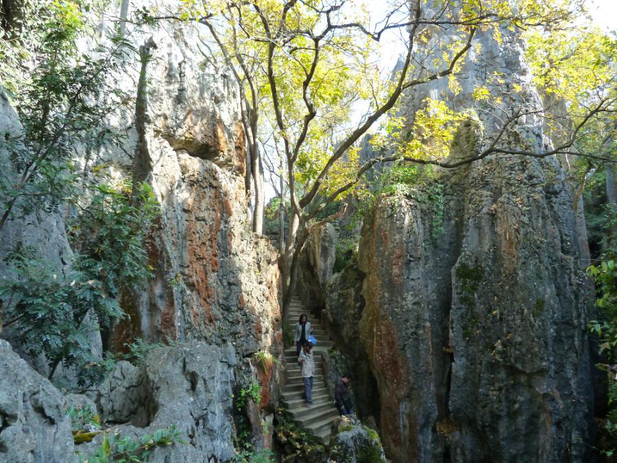 観光世界遺産石林風景名勝区(観光6時間)の写真