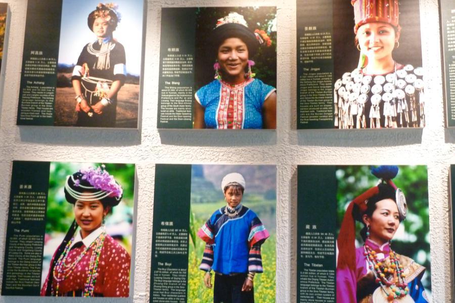 観光昆明(クンミン)(標高1890m)(観光2時間)の写真