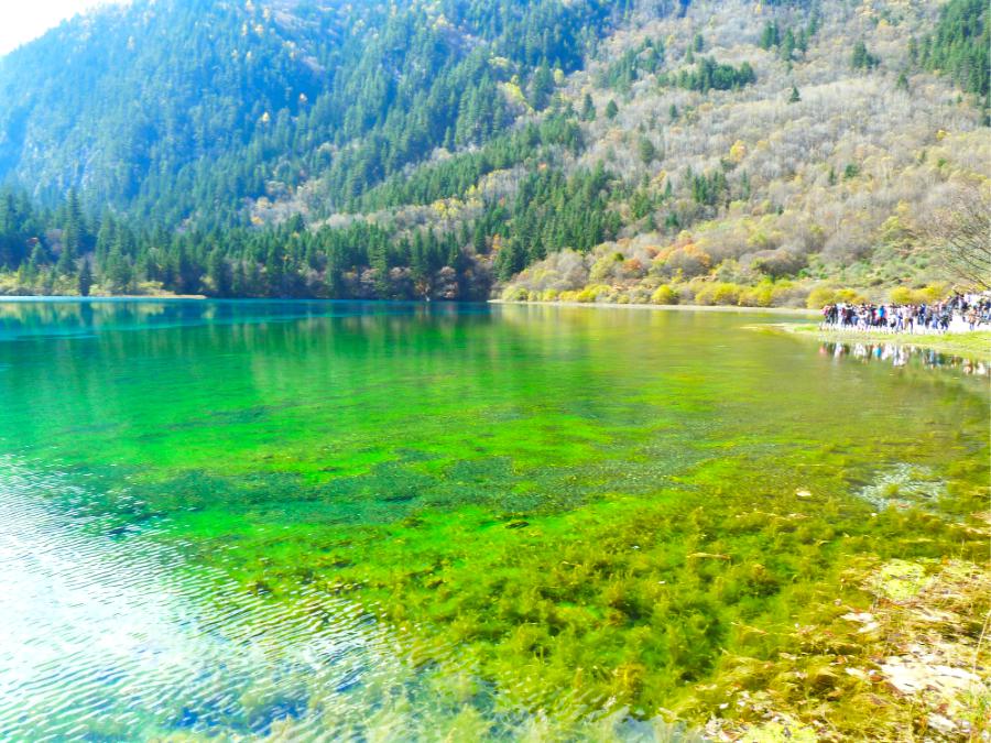 観光世界遺産九寨溝(ジウジャイゴウ)(観光4時間)の写真