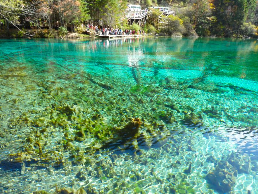 観光世界遺産九寨溝(ジウジャイゴウ)(観光4時間)の写真