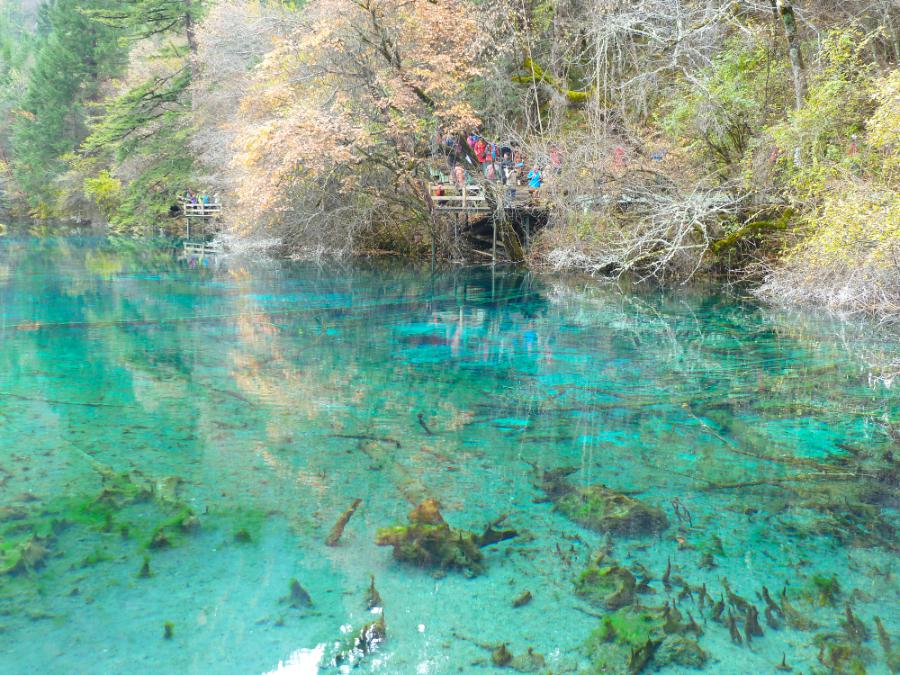 観光世界遺産九寨溝(ジウジャイゴウ)(観光4時間)の写真