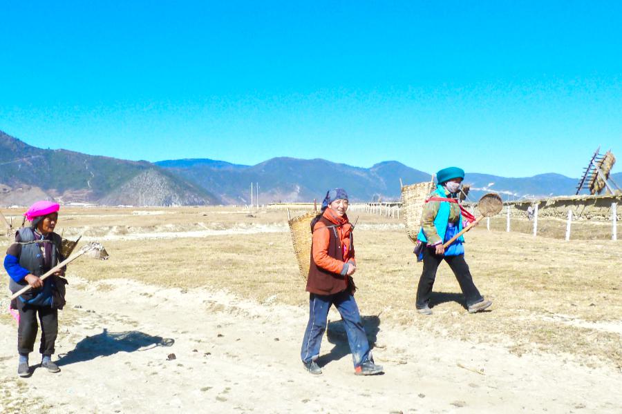 観光香格里拉(シャングリラ)(標高3160m)(観光7時間)の写真