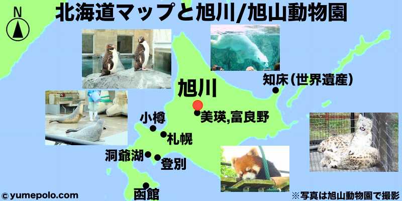 北海道 旭川 旭山動物園のマップ