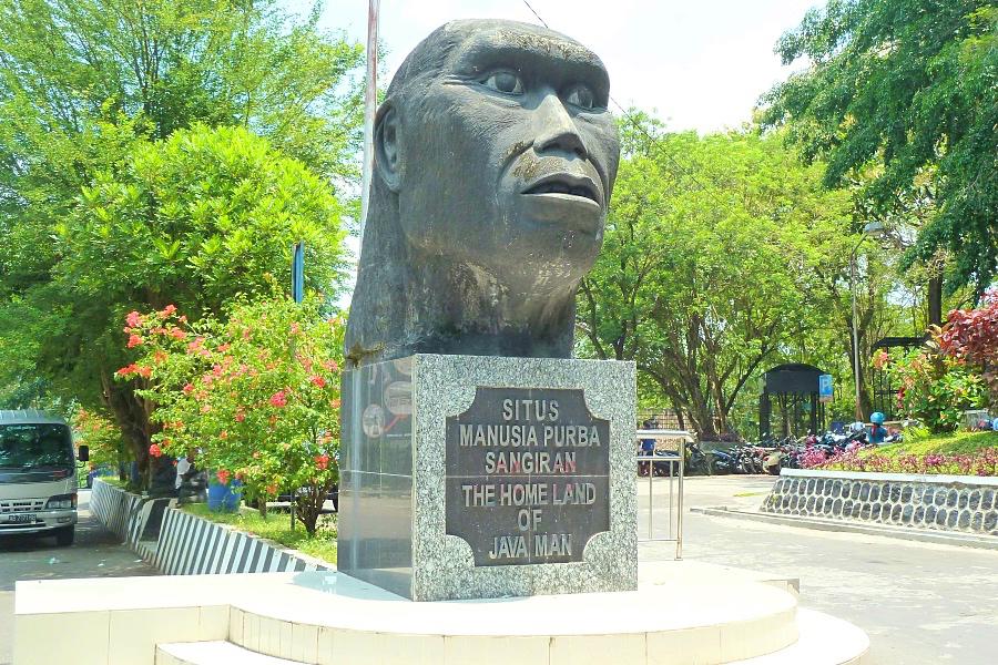 世界遺産サンギラン初期人類遺跡の博物館前のジャワ原人像の写真@インドネシア観光