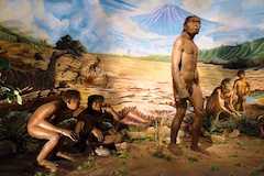 サンギラン初期人類遺跡の写真