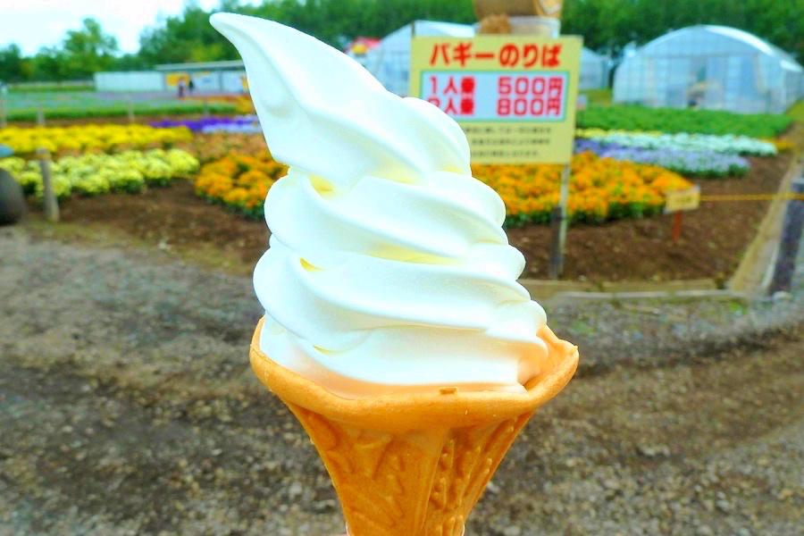四季彩の丘のソフトクリーム写真@北海道観光