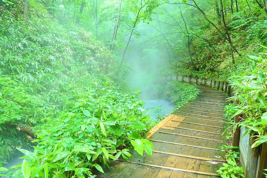 登別温泉の大正地獄への遊歩道は登別原始林（天然記念物）@北海道観光