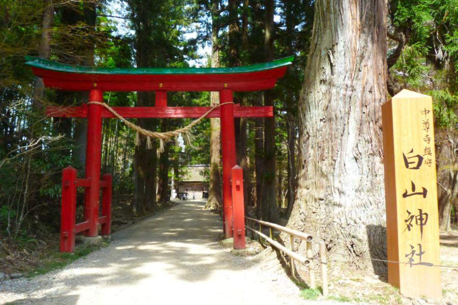 世界遺産 平泉の白山神社の鳥居の写真