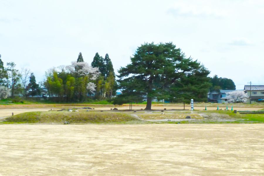 世界遺産 平泉の無量光院跡の写真