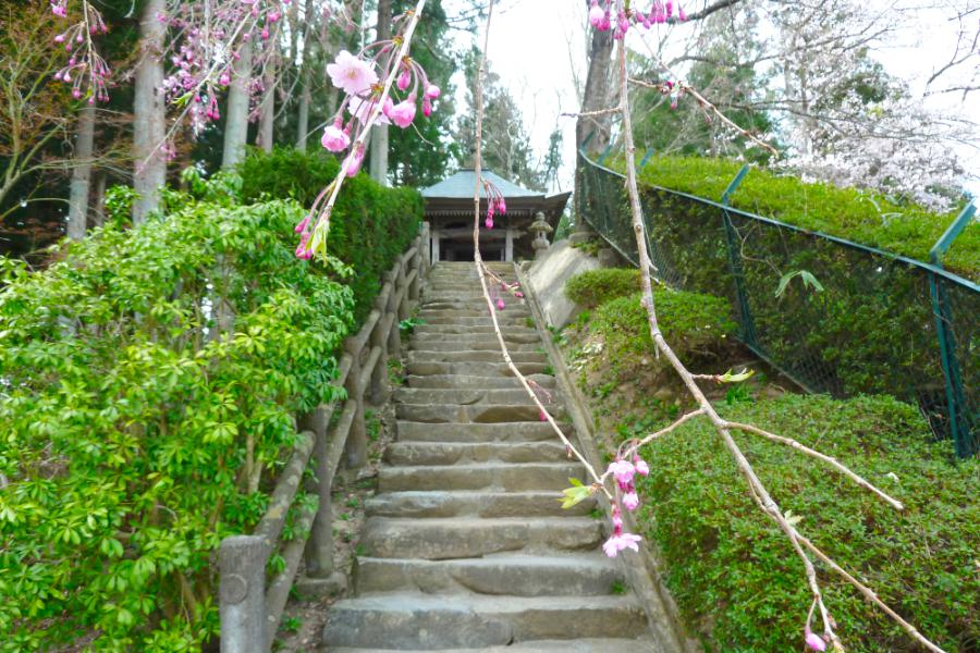 平泉 高舘義経堂・衣川館の写真