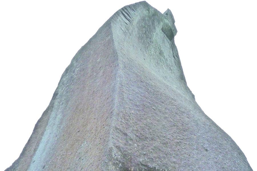 世界遺産 屋久島ヤクスギランド太忠岳の天柱石の写真