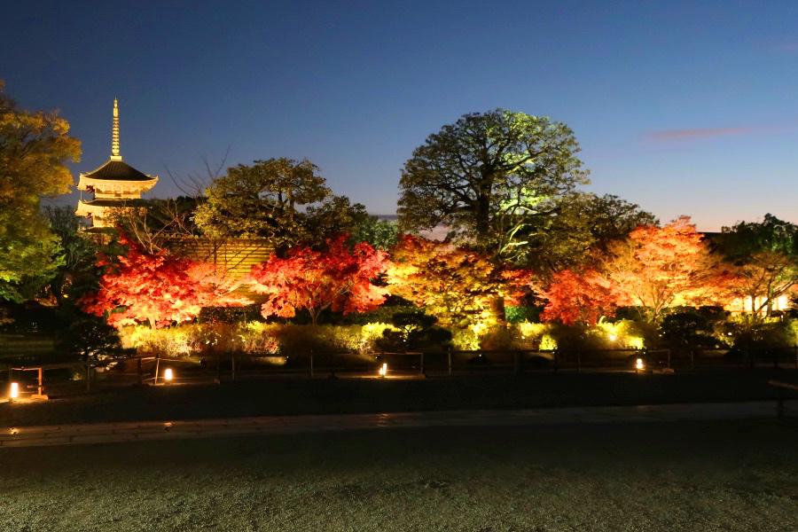 世界遺産 京都の東寺ライトアップ観光写真@京都旅行