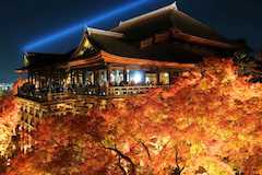 京都の世界遺産の清水寺のライトアップ