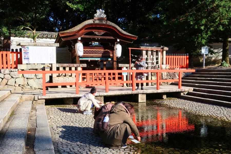 世界遺産 京都の下鴨神社の御手洗社のみずみくじ写真@京都旅行