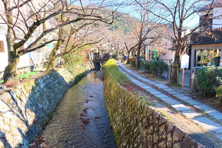 世界遺産 京都の哲学の道の観光写真@京都旅行