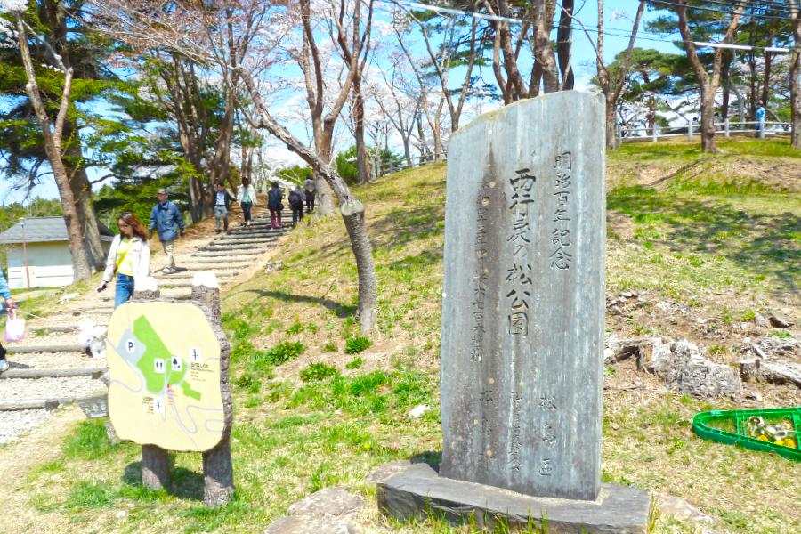 西行戻しの松公園の写真