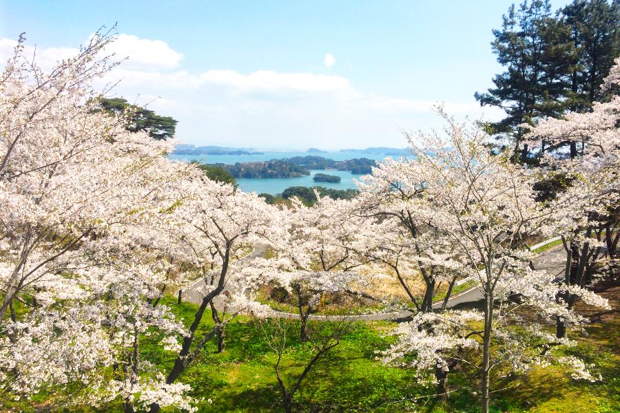 西行戻しの松公園の写真