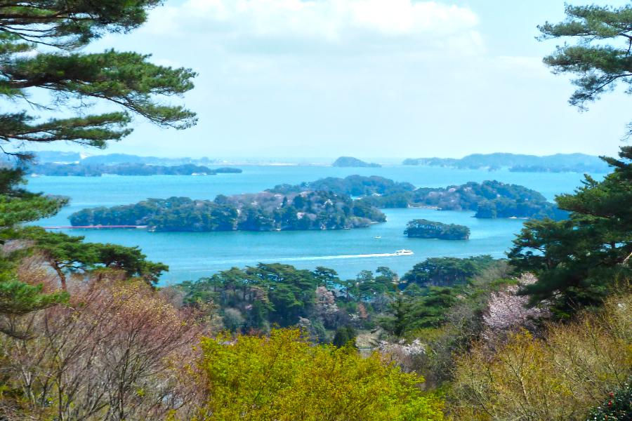 西行戻しの松公園の写真