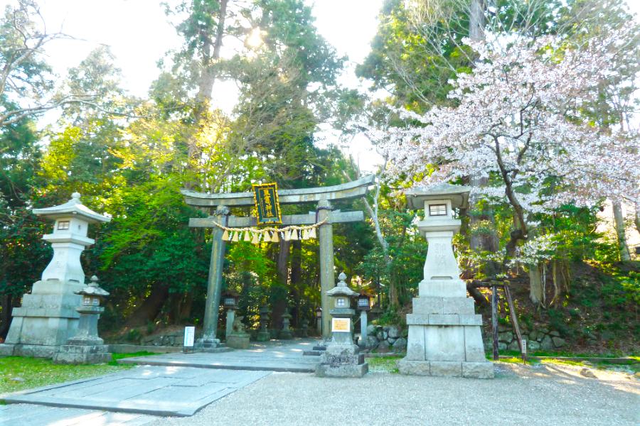 鹽竈神社の鳥居の写真