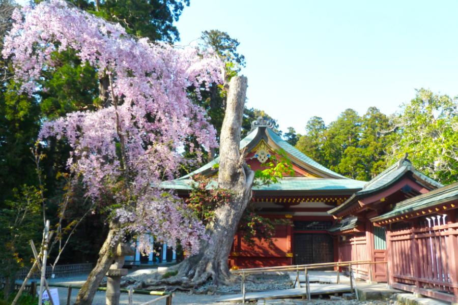 鹽竈神社の写真