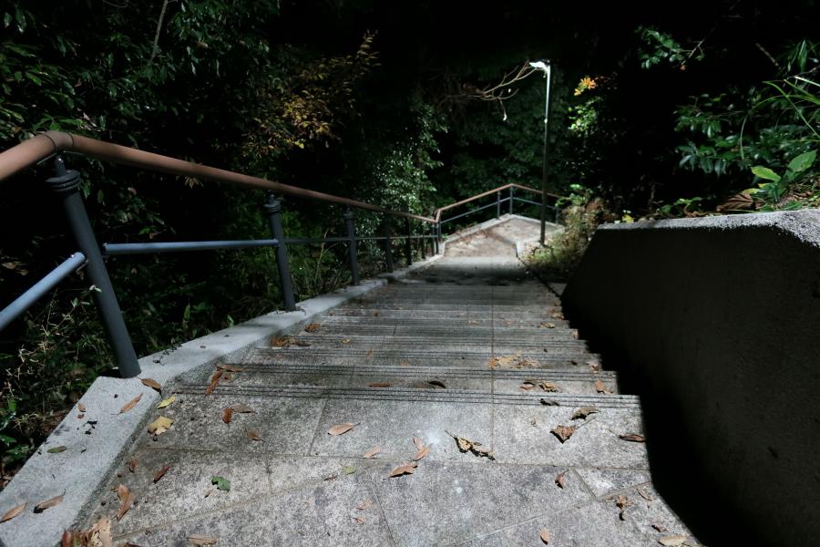 交通手段