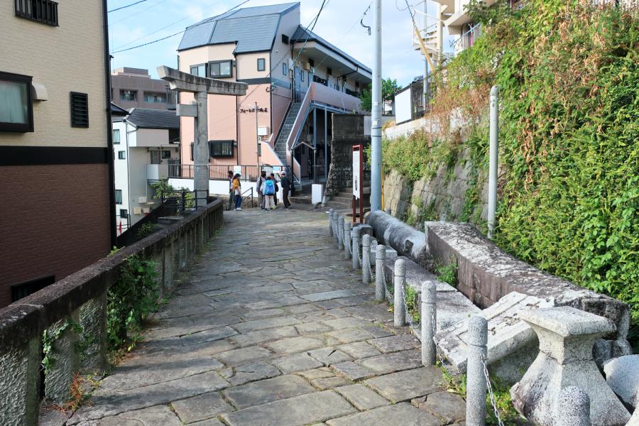 観光山王神社 二の鳥居(石製片足鳥居)と楠の巨木の写真